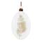 12 Pack 5.5" Natural Dried Floral Glass Ornaments
